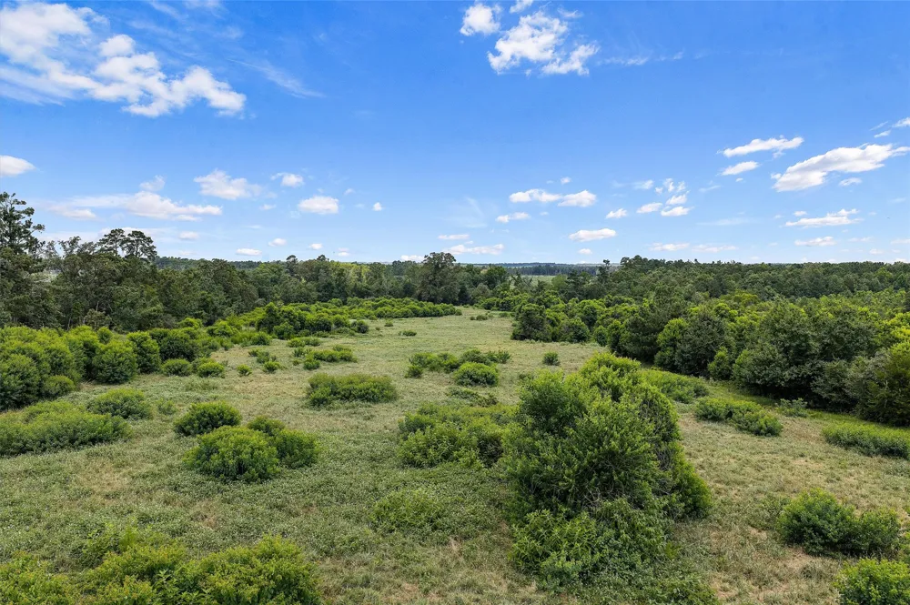 589 US Highway 84 E Tenaha, TX 75974