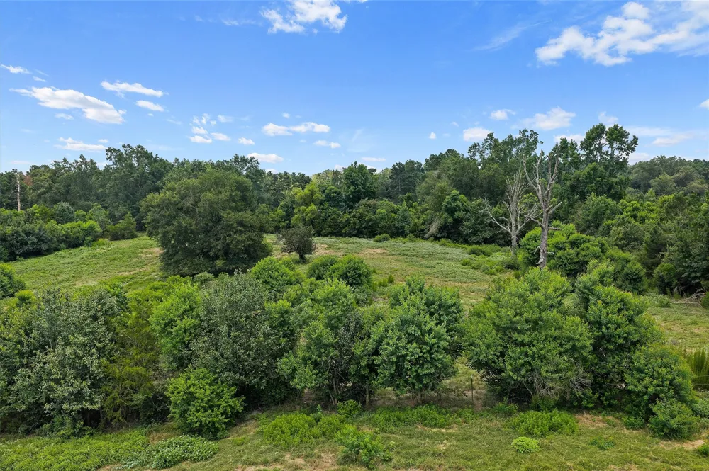 589 US Highway 84 E Tenaha, TX 75974