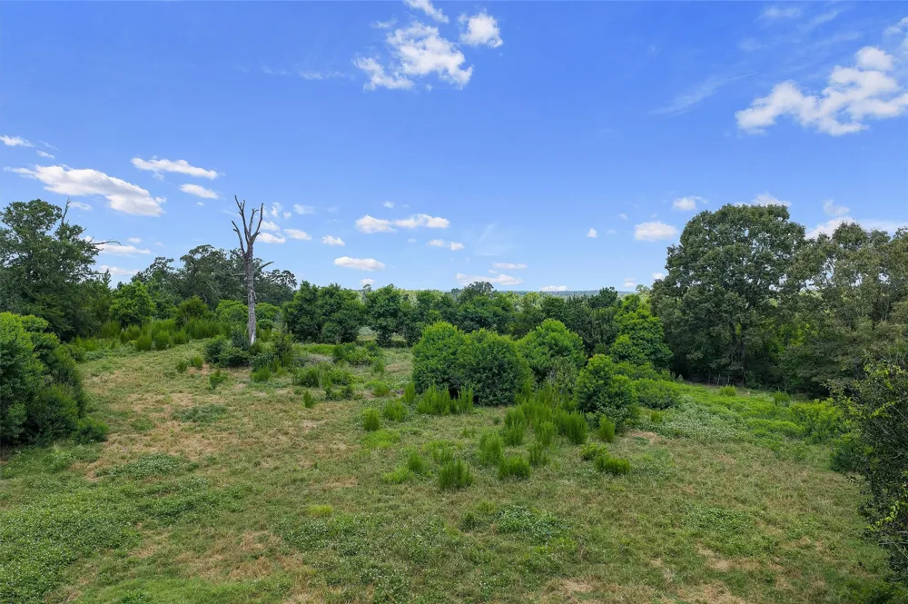 589 US Highway 84 E Tenaha, TX 75974