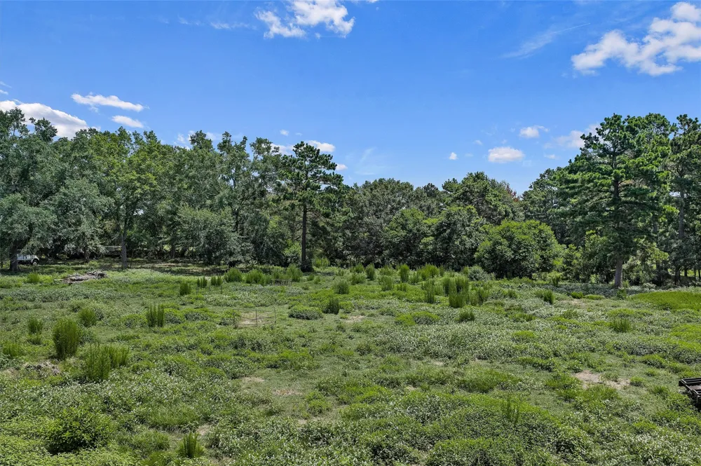 589 US Highway 84 E Tenaha, TX 75974