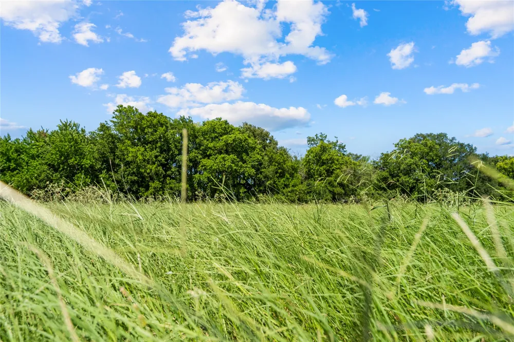 Lakewood Drive Whitney, TX 76692