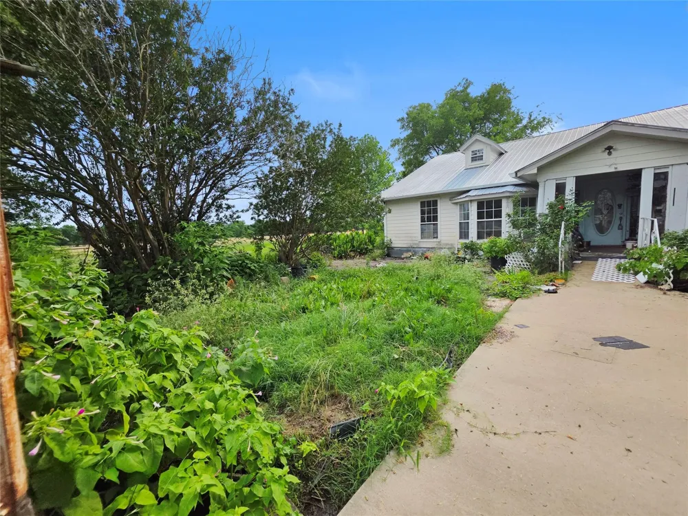 1917 County Road 1144 Miller Grove, TX 75472
