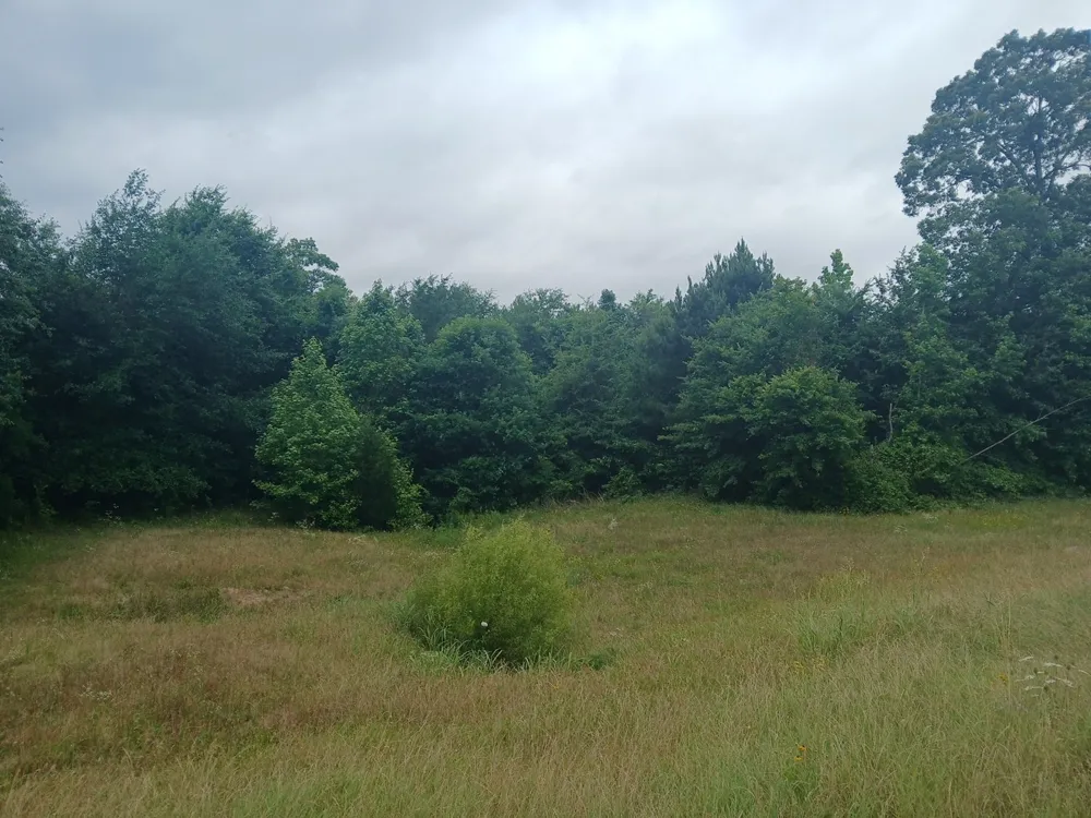 CR 1640 Jefferson, TX 75657