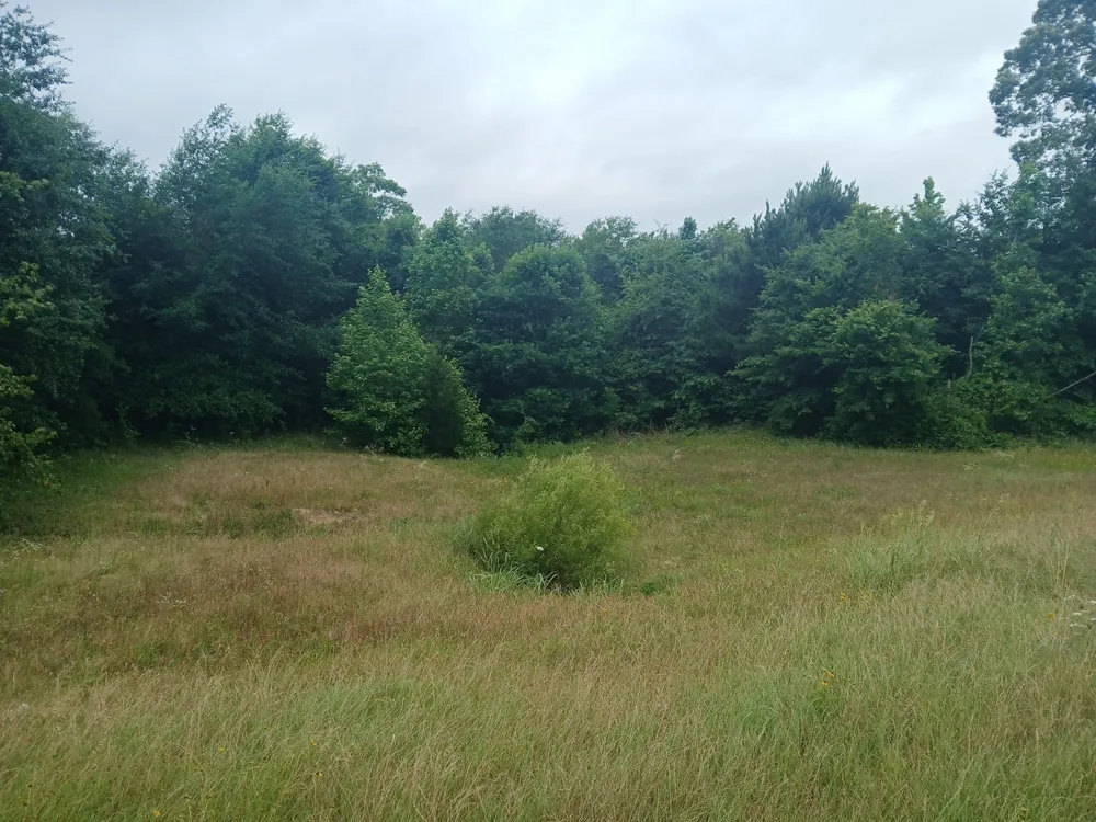 CR 1640 Jefferson, TX 75657
