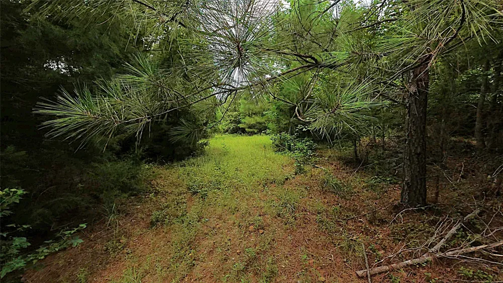 CR 1640 Jefferson, TX 75657