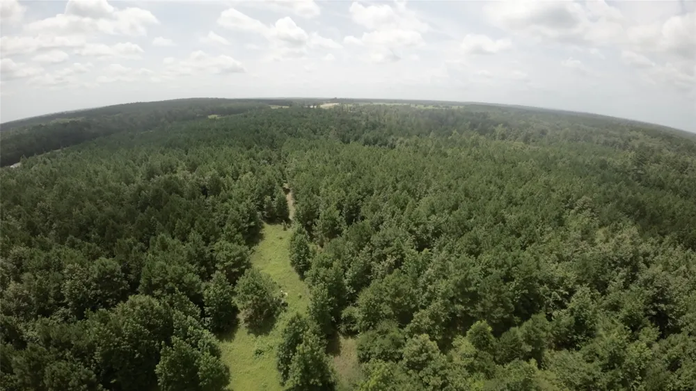 CR 1640 Jefferson, TX 75657