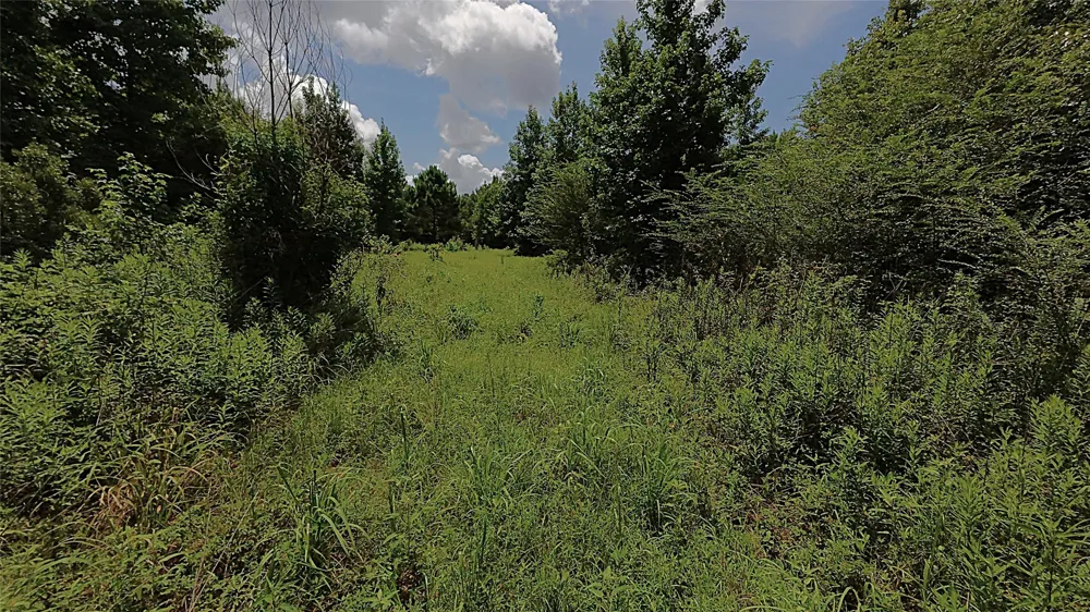 CR 1640 Jefferson, TX 75657