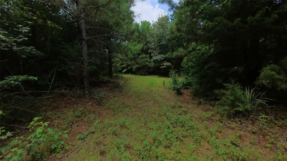 CR 1640 Jefferson, TX 75657