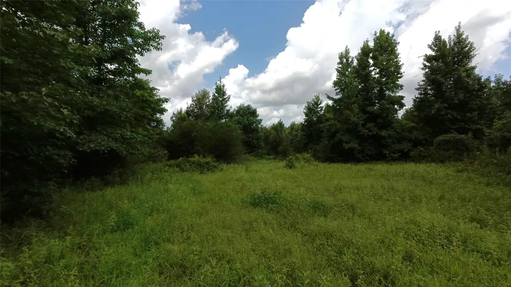 CR 1640 Jefferson, TX 75657