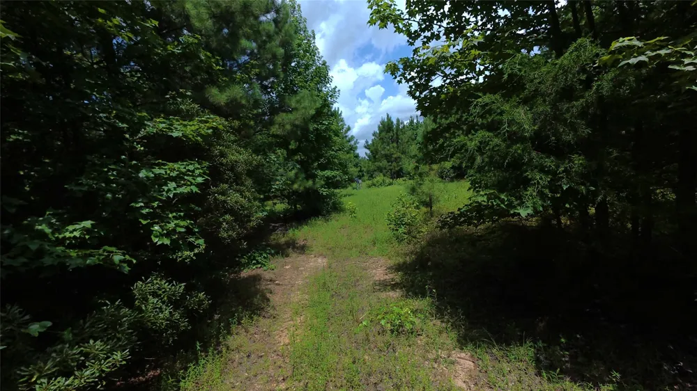 CR 1640 Jefferson, TX 75657