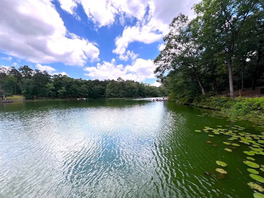 254 CR 4595 Winnsboro, TX 75494
