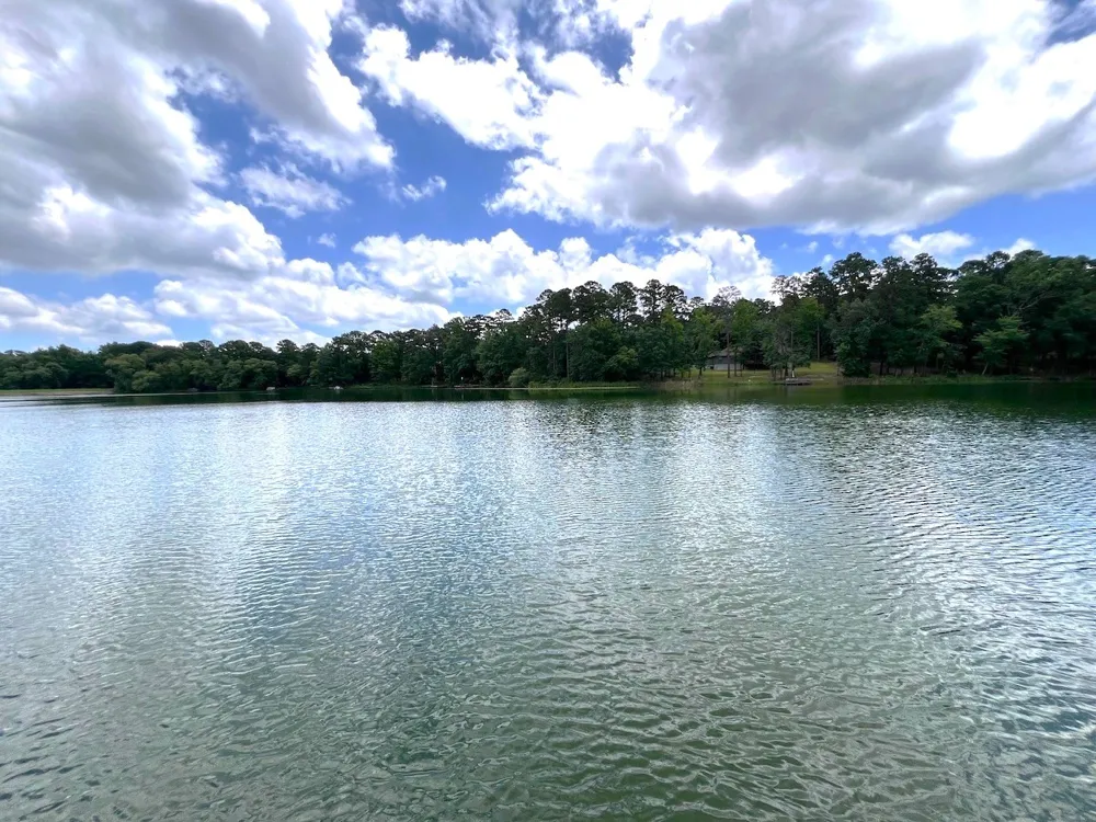254 CR 4595 Winnsboro, TX 75494