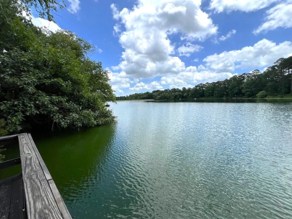 254 CR 4595 Winnsboro, TX 75494