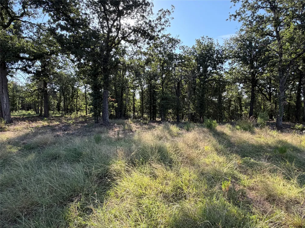 Fm 56 Morgan, TX 76671