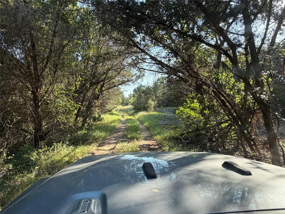 Fm 56 Morgan, TX 76671