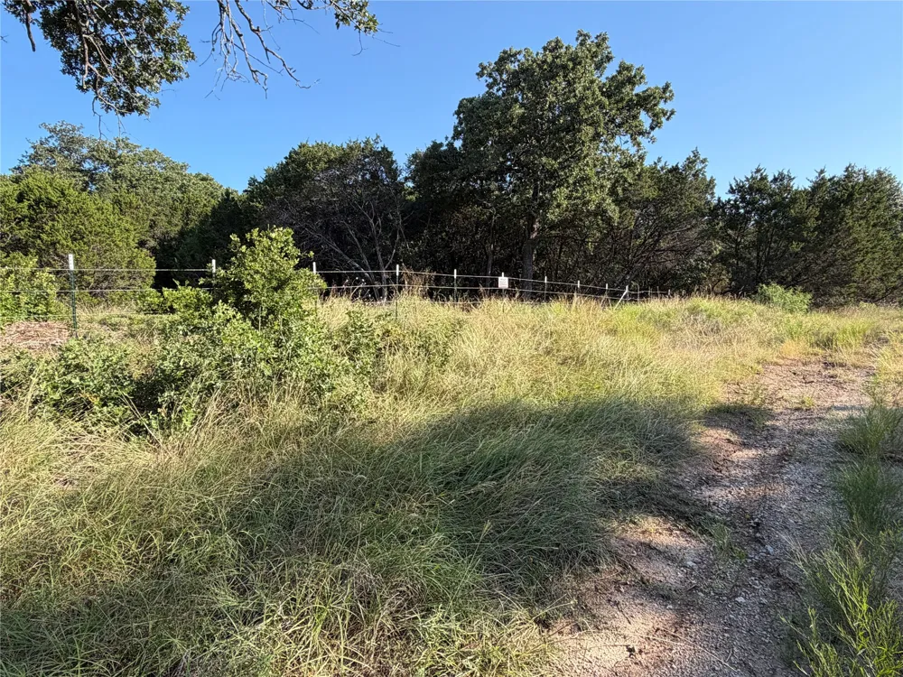 Fm 56 Morgan, TX 76671