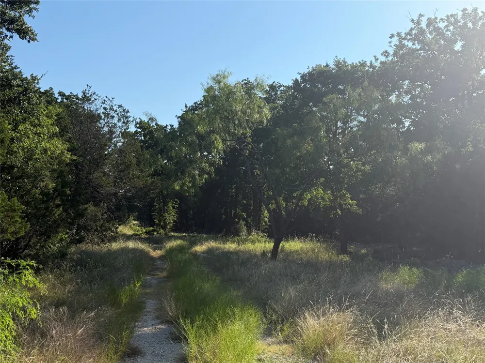 Fm 56 Morgan, TX 76671