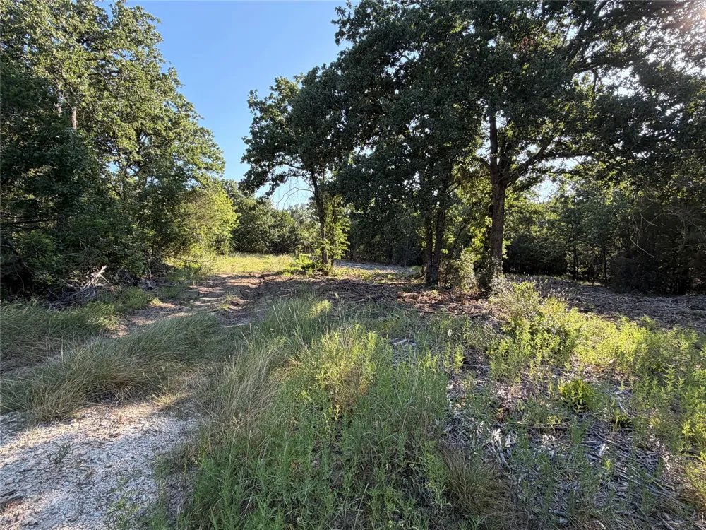 Fm 56 Morgan, TX 76671