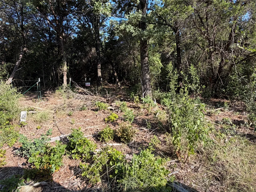 Fm 56 Morgan, TX 76671