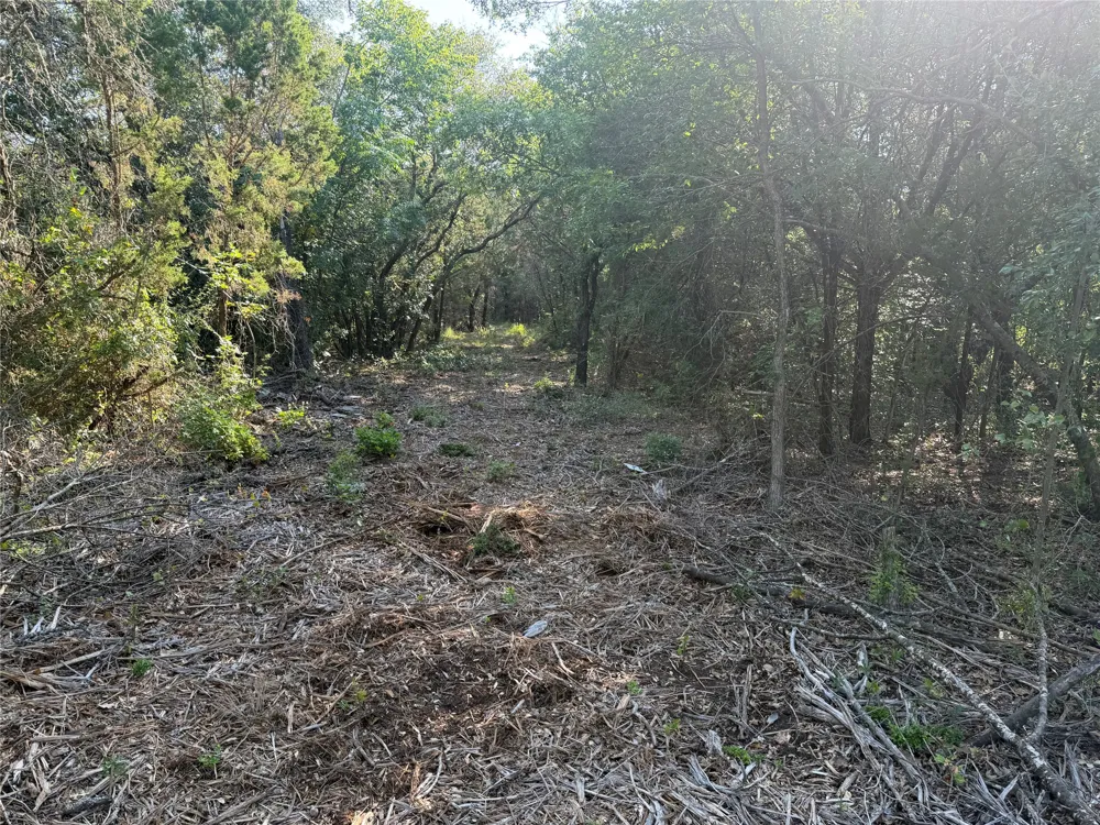 Fm 56 Morgan, TX 76671