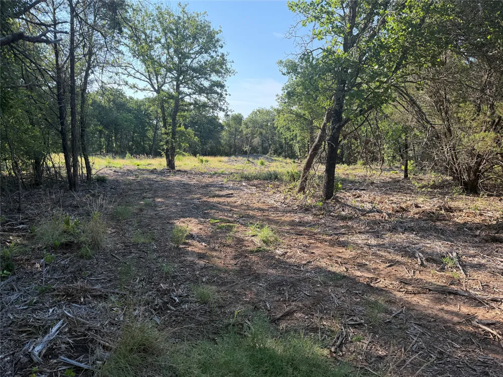 Fm 56 Morgan, TX 76671