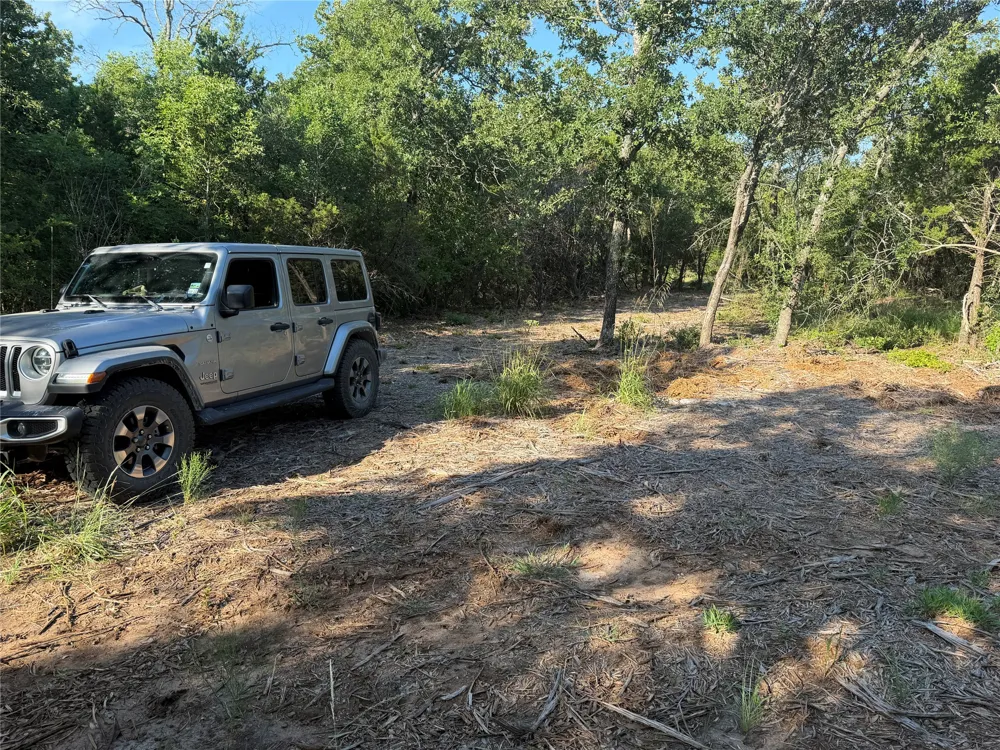 Fm 56 Morgan, TX 76671