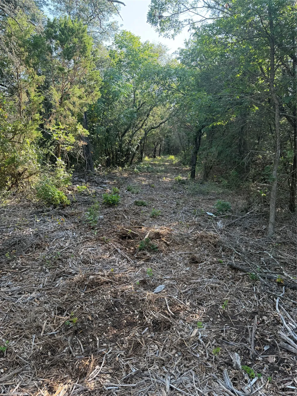 Fm 56 Morgan, TX 76671