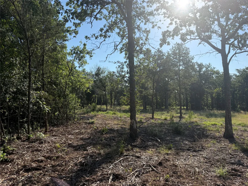 Fm 56 Morgan, TX 76671