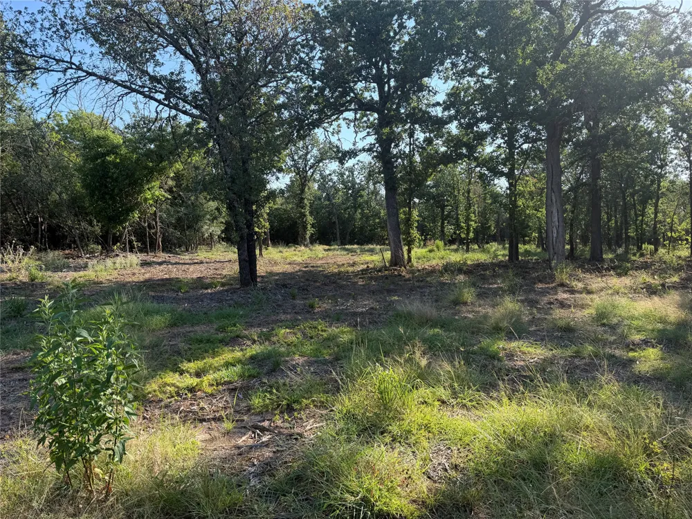 Fm 56 Morgan, TX 76671