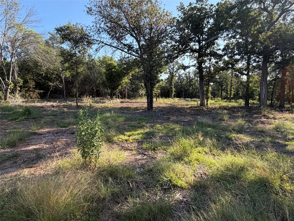 Fm 56 Morgan, TX 76671