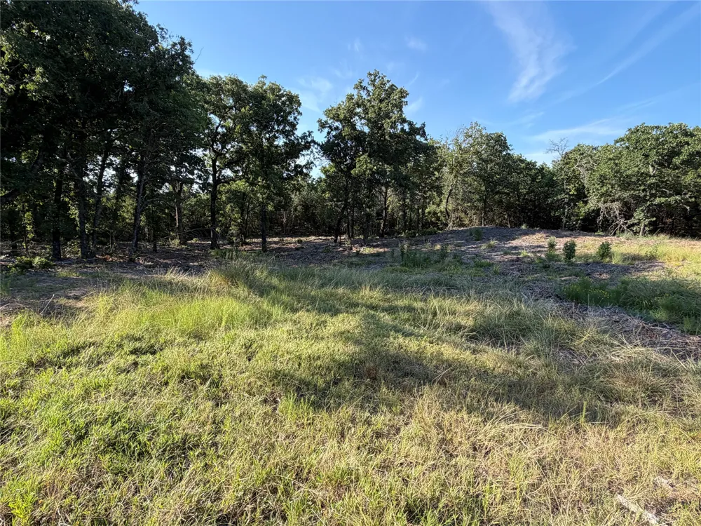 Fm 56 Morgan, TX 76671