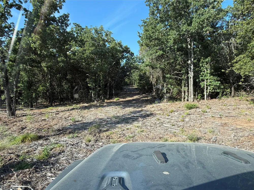 Fm 56 Morgan, TX 76671