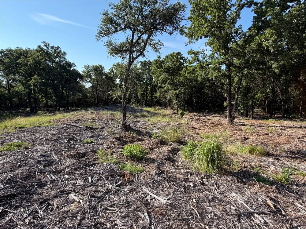 Fm 56 Morgan, TX 76671