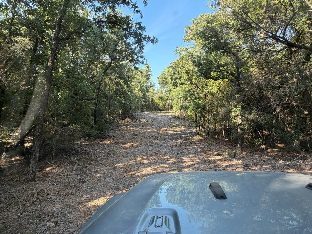 Fm 56 Morgan, TX 76671