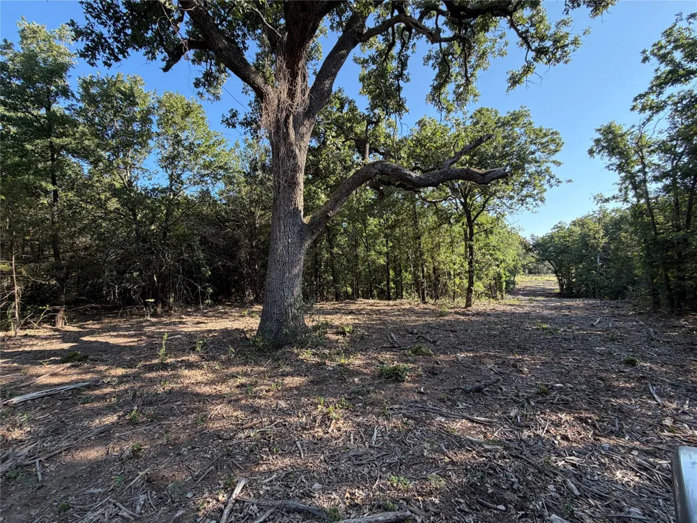 Fm 56 Morgan, TX 76671
