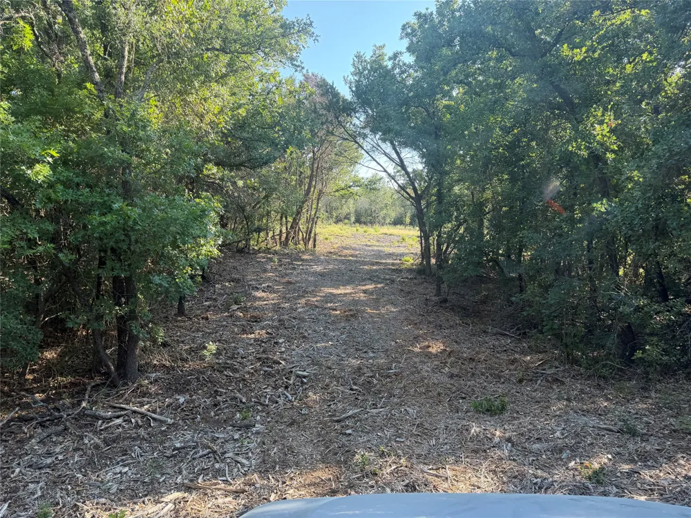 Fm 56 Morgan, TX 76671