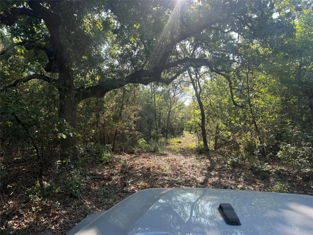 Fm 56 Morgan, TX 76671