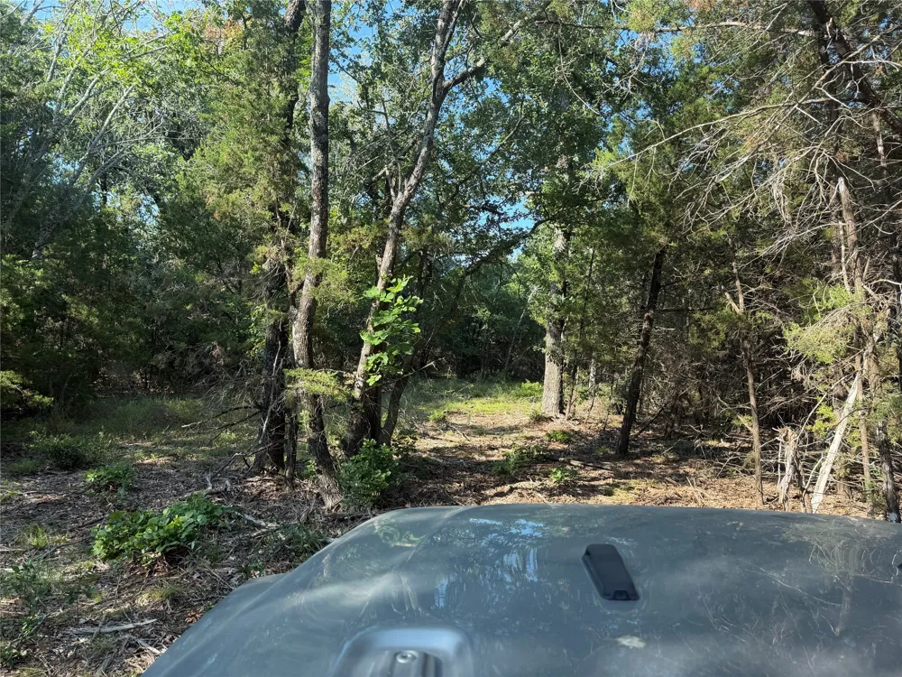 Fm 56 Morgan, TX 76671
