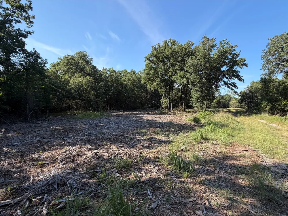 Fm 56 Morgan, TX 76671
