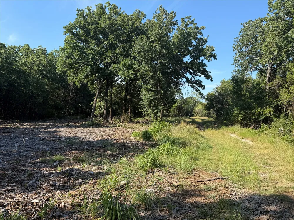 Fm 56 Morgan, TX 76671