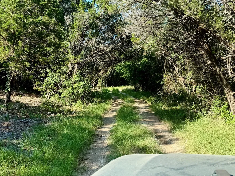 Fm 56 Morgan, TX 76671