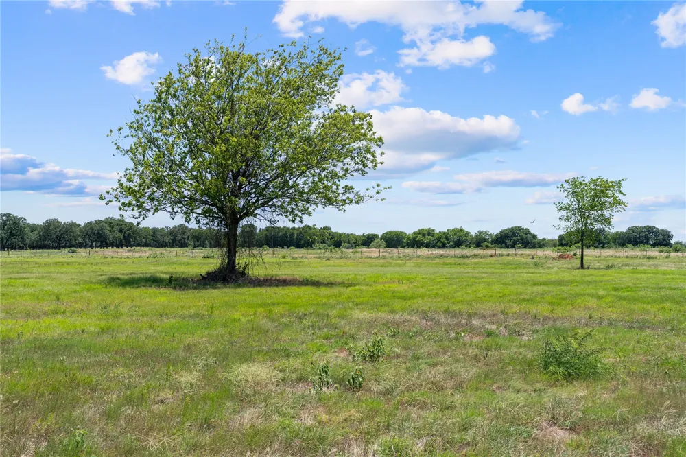 Lakewood Drive Whitney, TX 76692