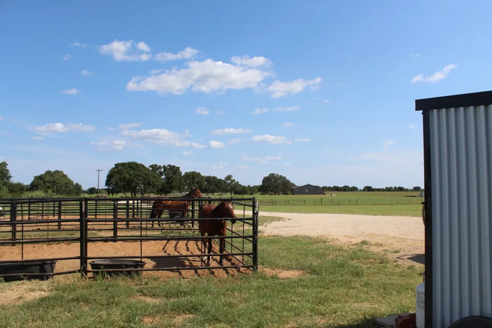331 County Road 156a De Leon, TX 76444