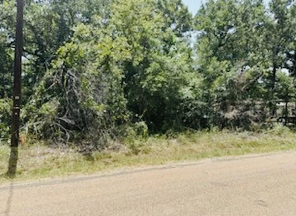 Albany Drive Mabank, TX 75156