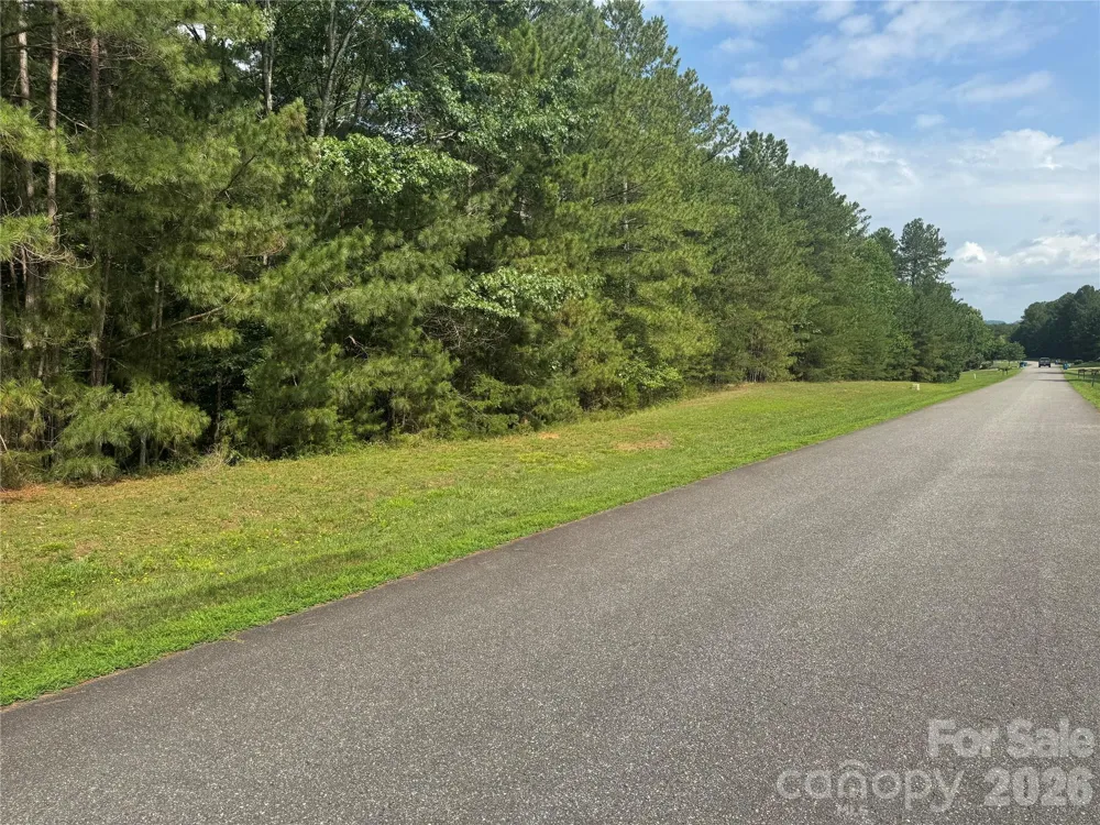 205 Riverwalk Drive Connelly Springs, NC 28612