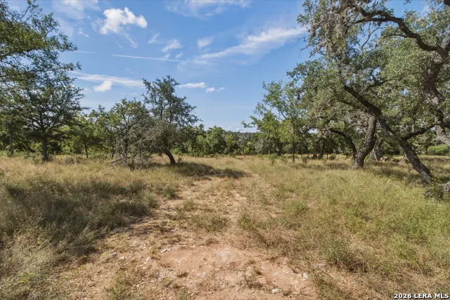 1256 Benton Creek Rd Medina, TX 78055