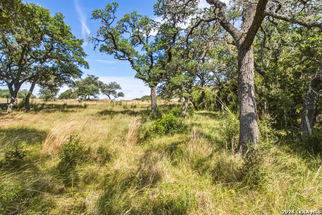 1256 Benton Creek Rd Medina, TX 78055