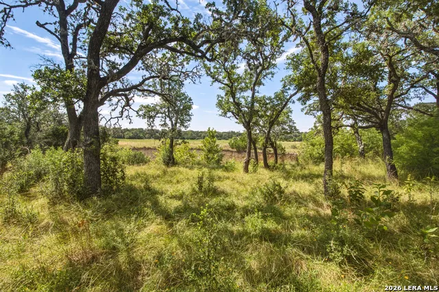1256 Benton Creek Rd Medina, TX 78055