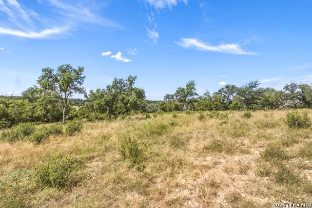 1256 Benton Creek Rd Medina, TX 78055