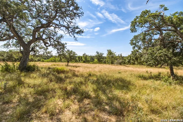 1256 Benton Creek Rd Medina, TX 78055